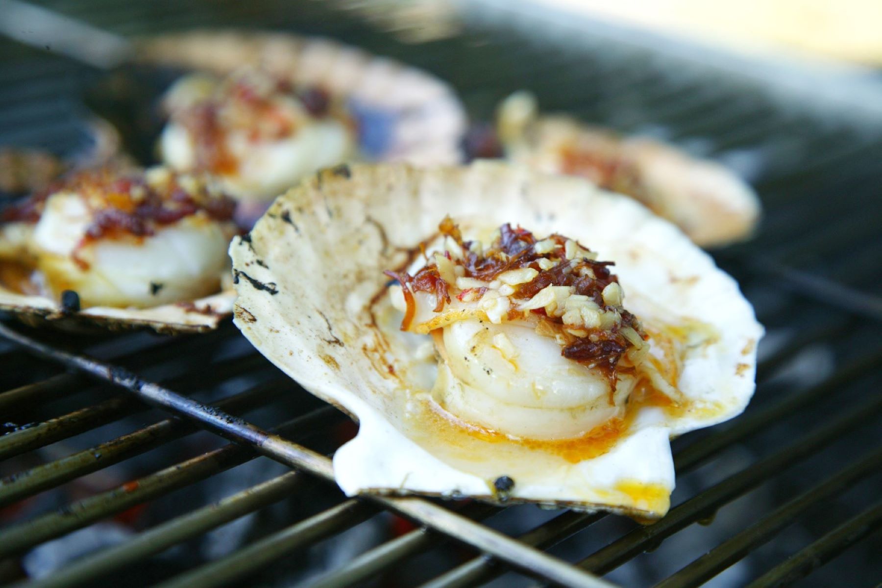 grilled-scallops-recipe