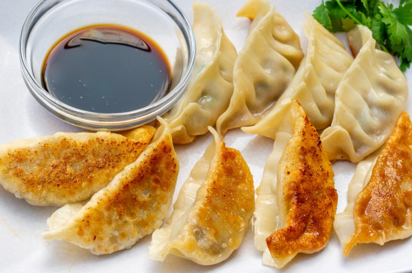 gyoza-recipe