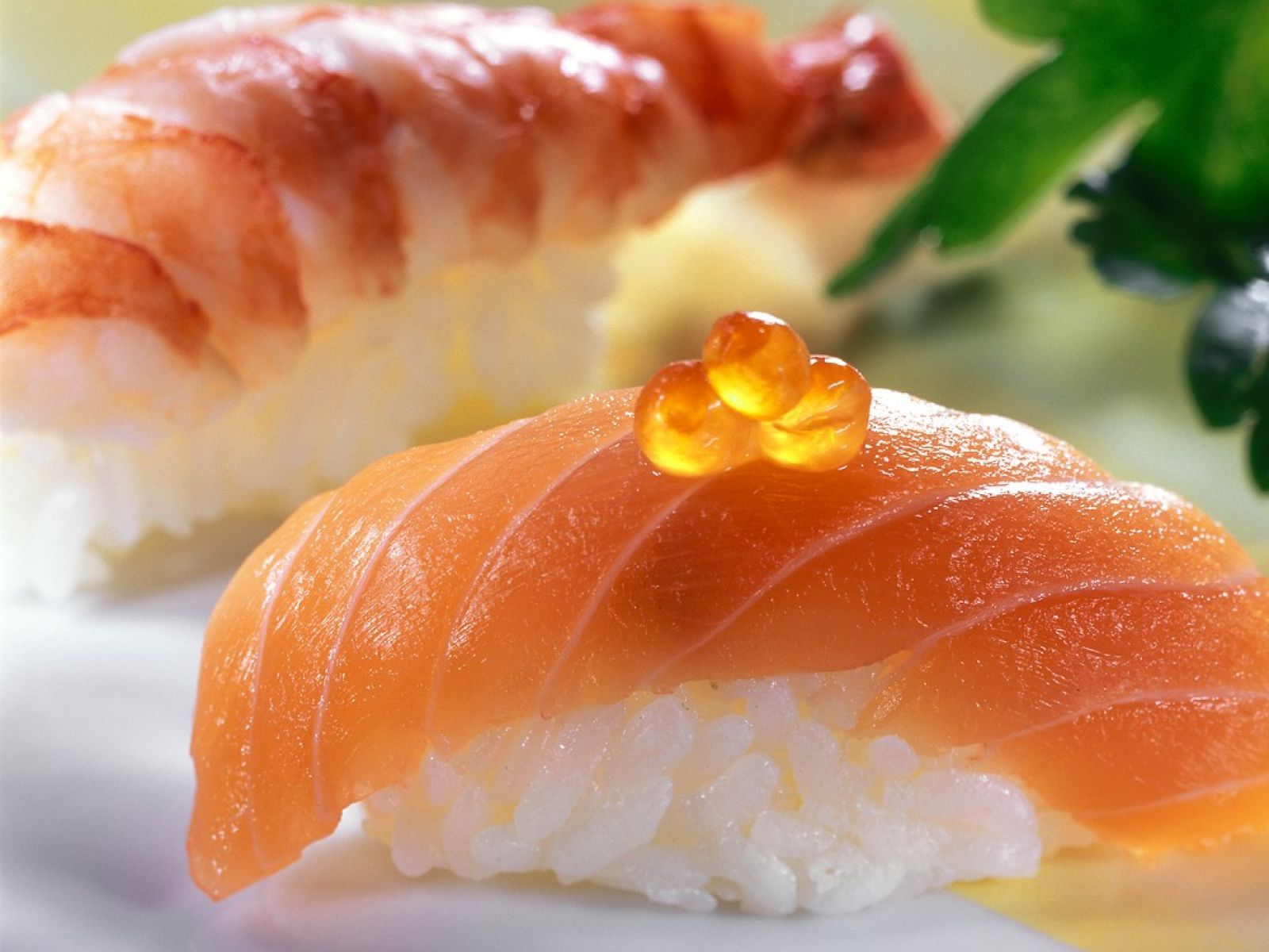 nigiri-sushi-recipe