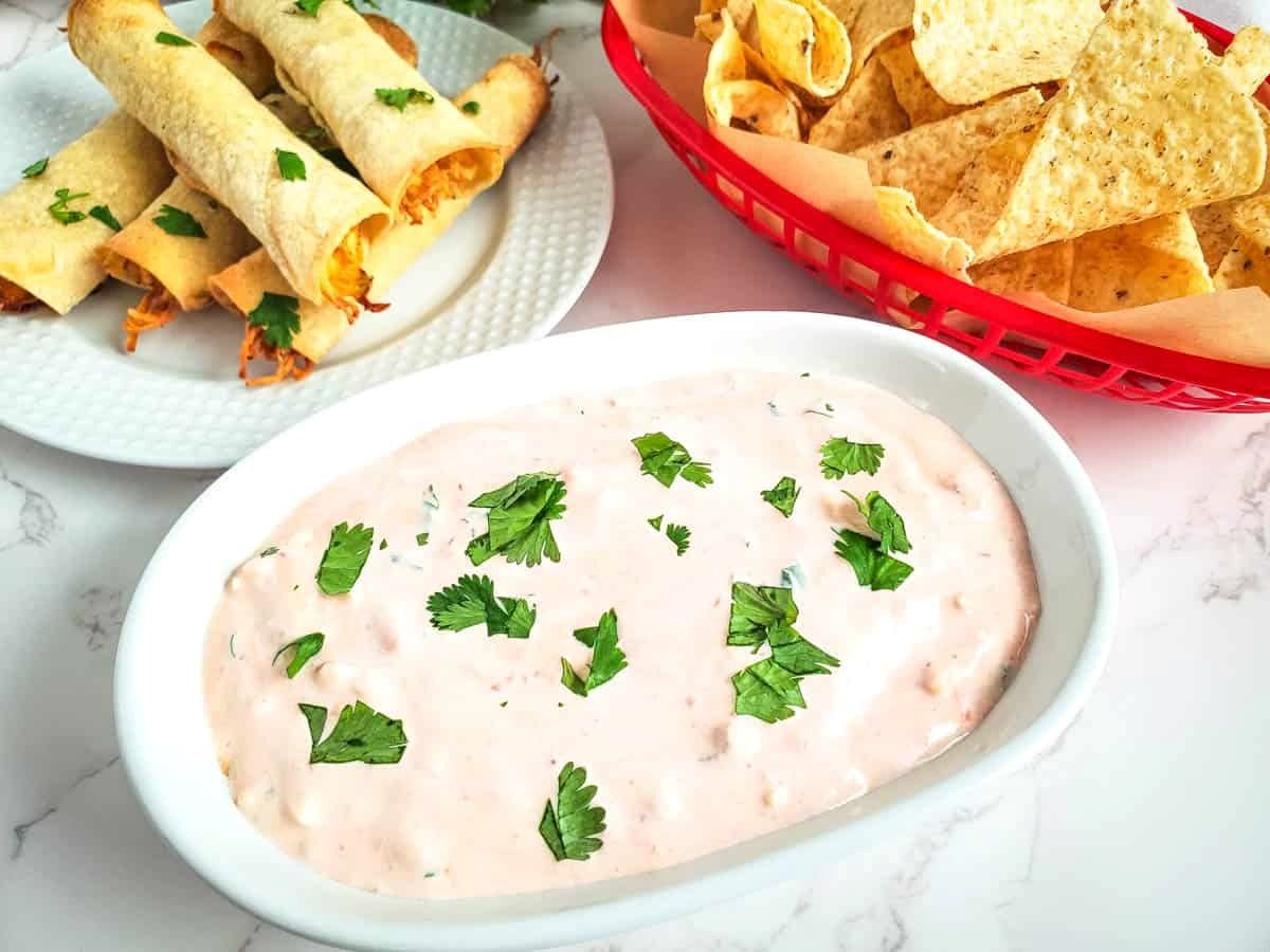 cheesy-sour-cream-and-salsa-dip-recipe