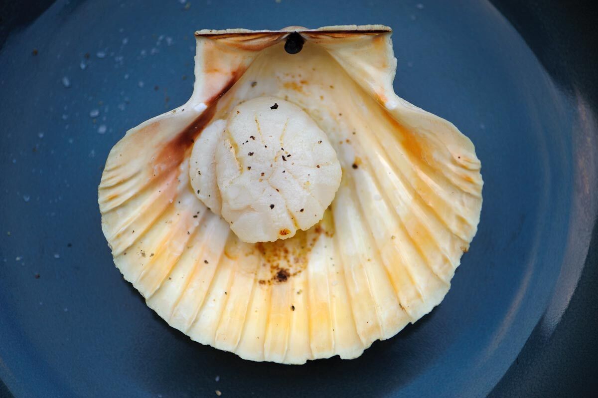 coquilles-saint-jacques-recipe