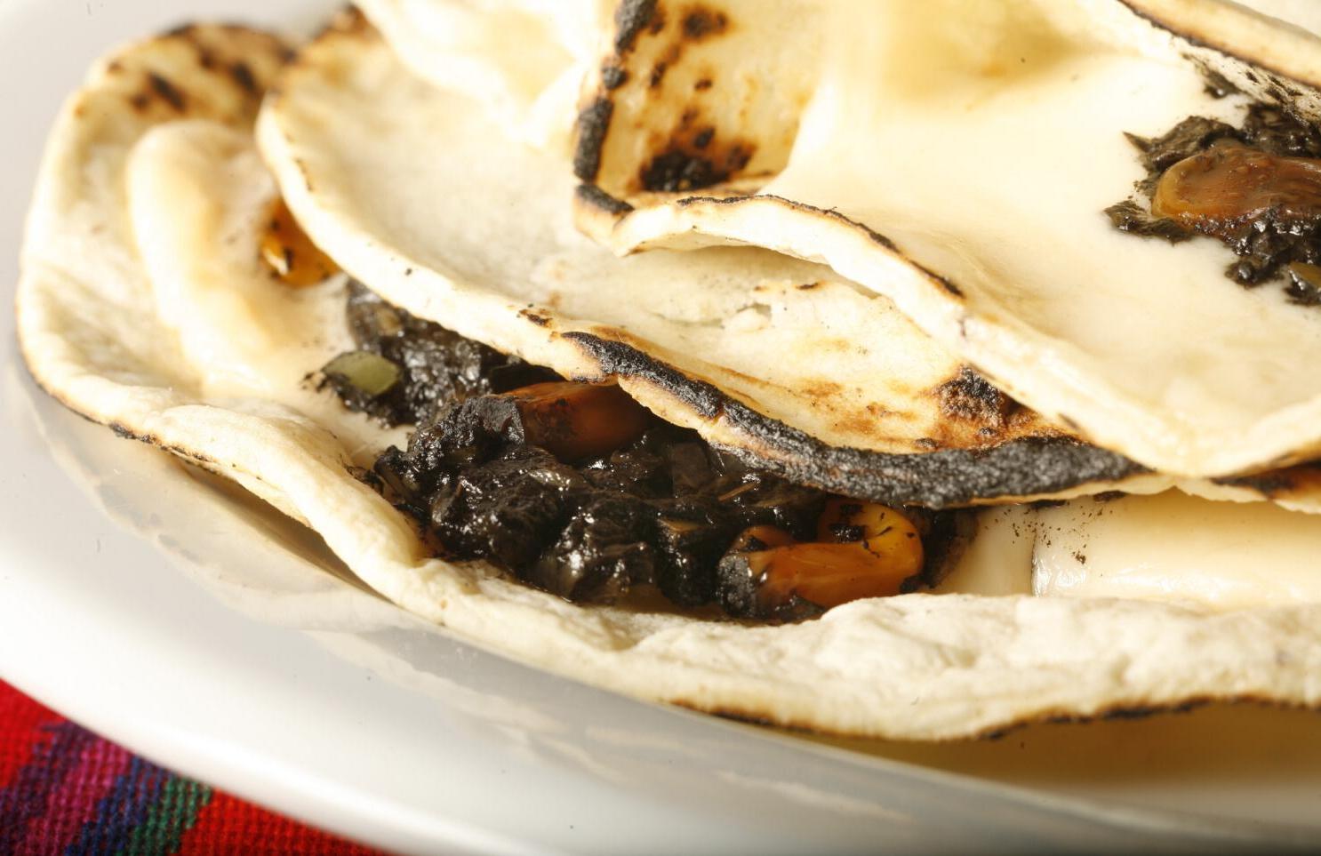 corn-truffle-huitlacoche-quesadillas-recipe