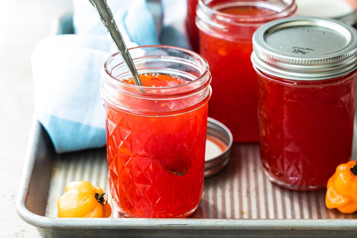 pepper-jelly-recipe