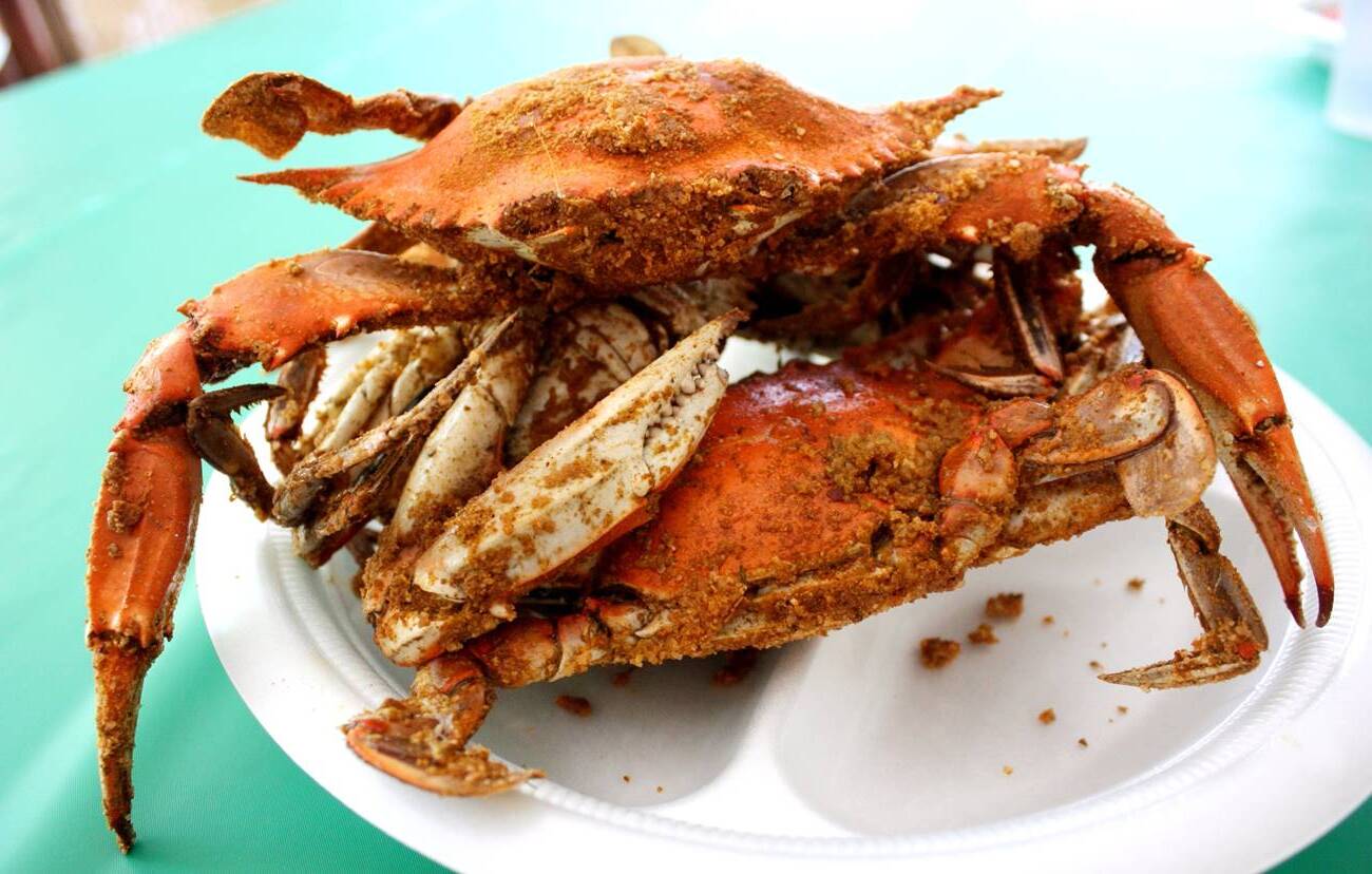 steamed-blue-crabs-recipe