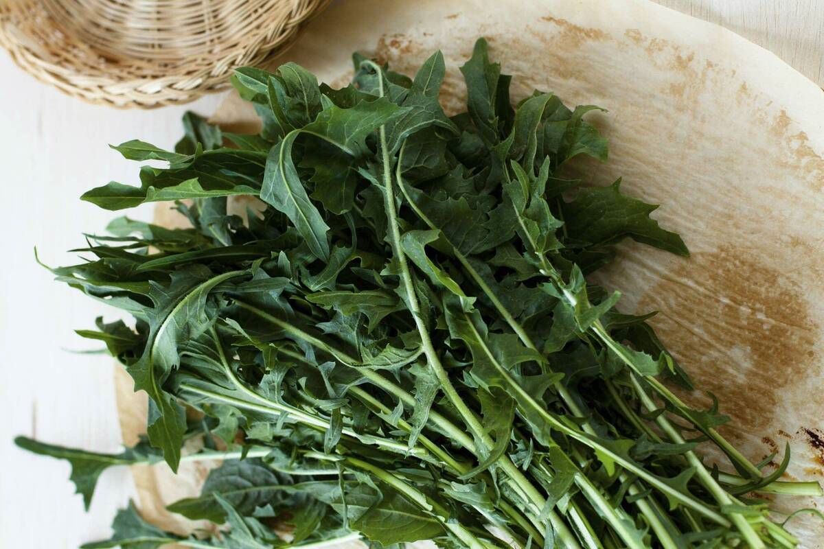 dandelion-greens-recipe