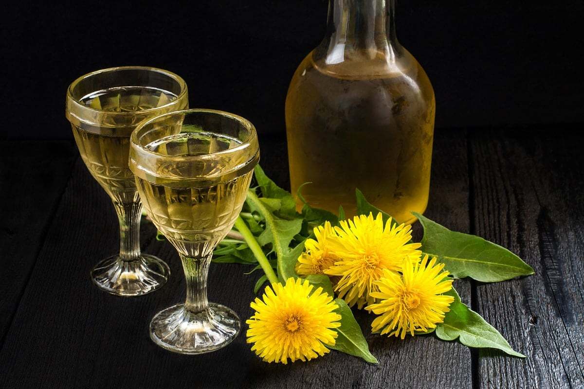 dandelion-wine-recipe