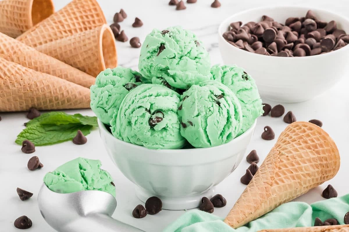 mint-chocolate-chip-ice-cream-recipe