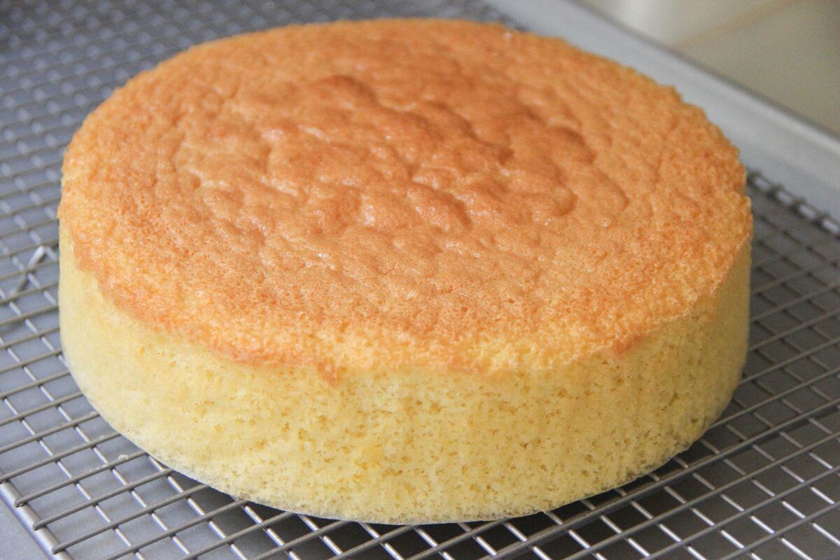 sponge-cake-recipe